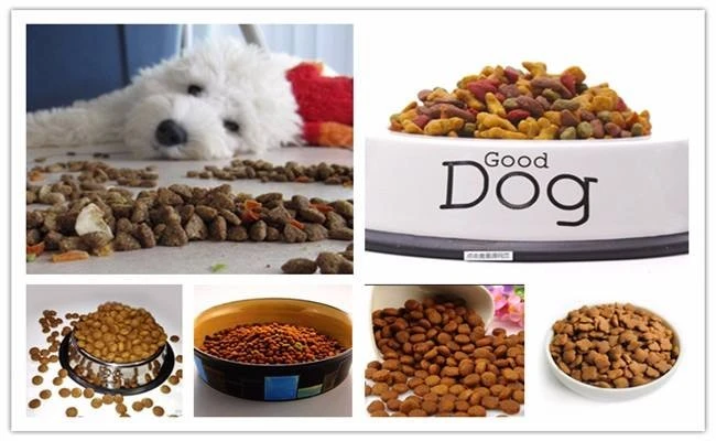 Pet Food Machine Process Line